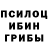 Псилоцибиновые грибы GOLDEN TEACHER Danil Tarasoff