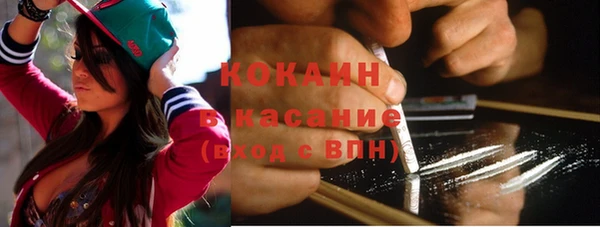 крисы Алексин