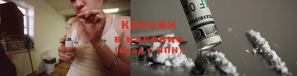 крисы Алексин
