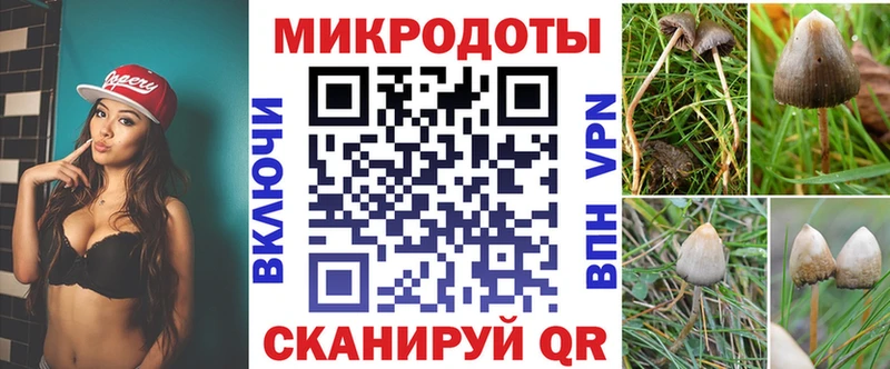 Псилоцибиновые грибы Magic Shrooms  Купить  Задонск 